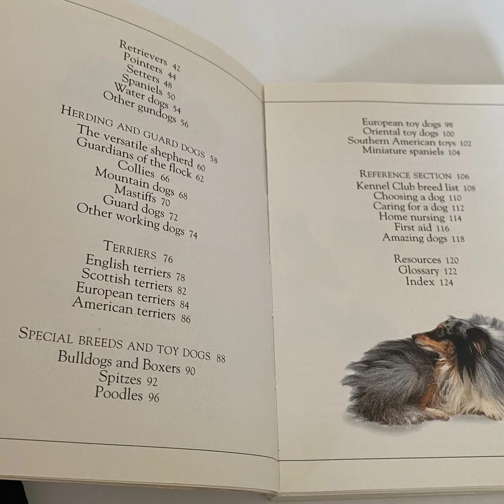 🏷️Pockets Dogs Book — White Cover